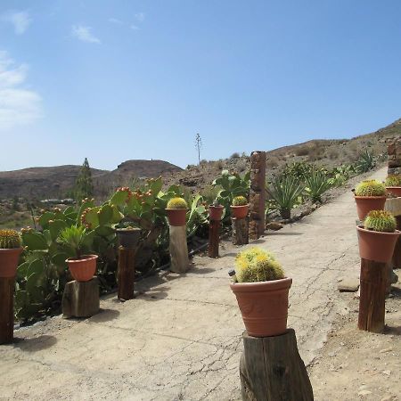Vivelorural Casa En Valle De Chira Con Piscina San Bartolomé Eksteriør bilde