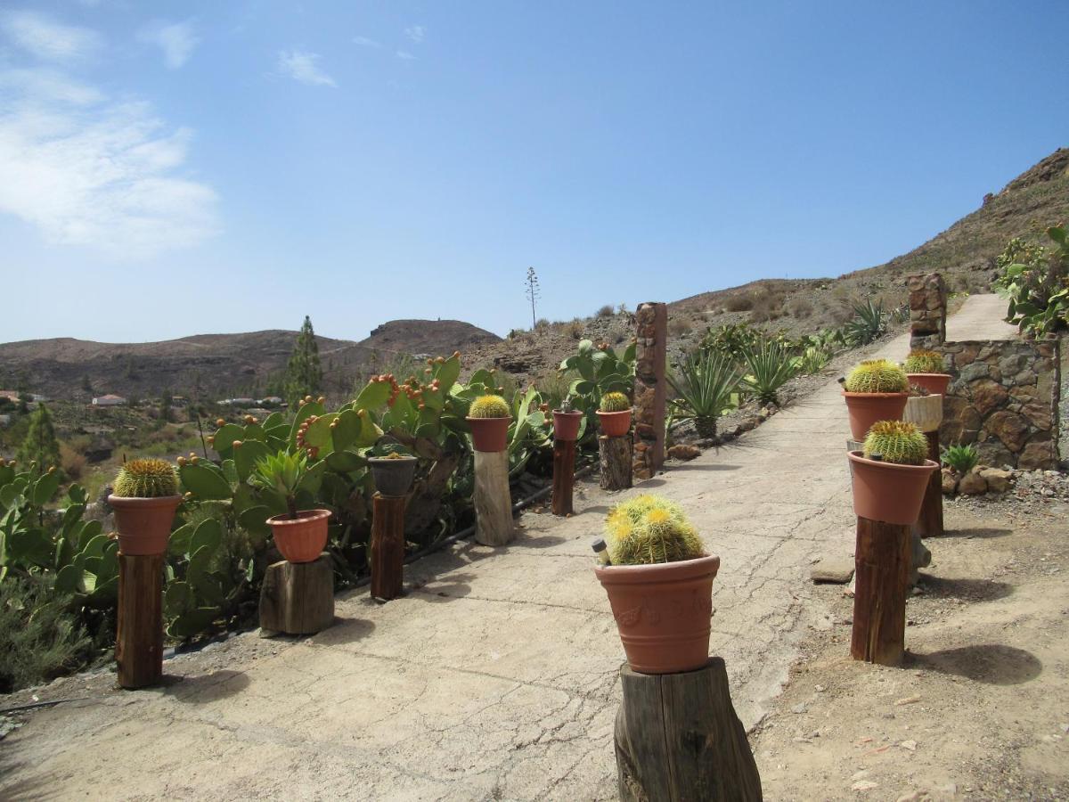 Vivelorural Casa En Valle De Chira Con Piscina San Bartolomé Eksteriør bilde